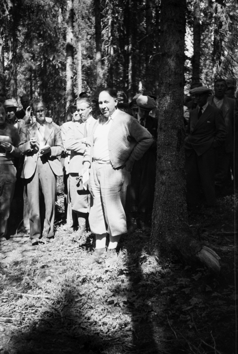 Håkon Prestkværn, Buvika sagbruk, skogbefaring, Ringsaker allmenning. Juni 1949.