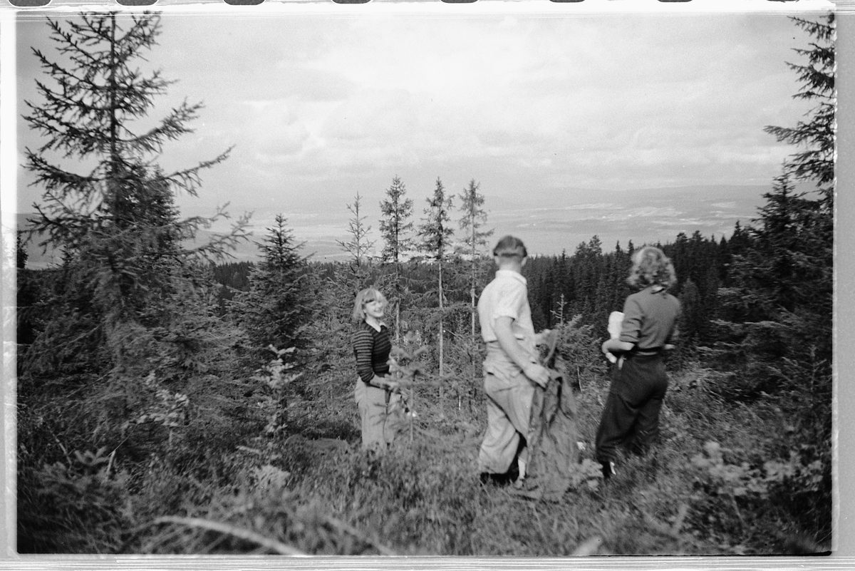 Håkon Prestkværn, Eksteriør, skog. Tre turgåere.