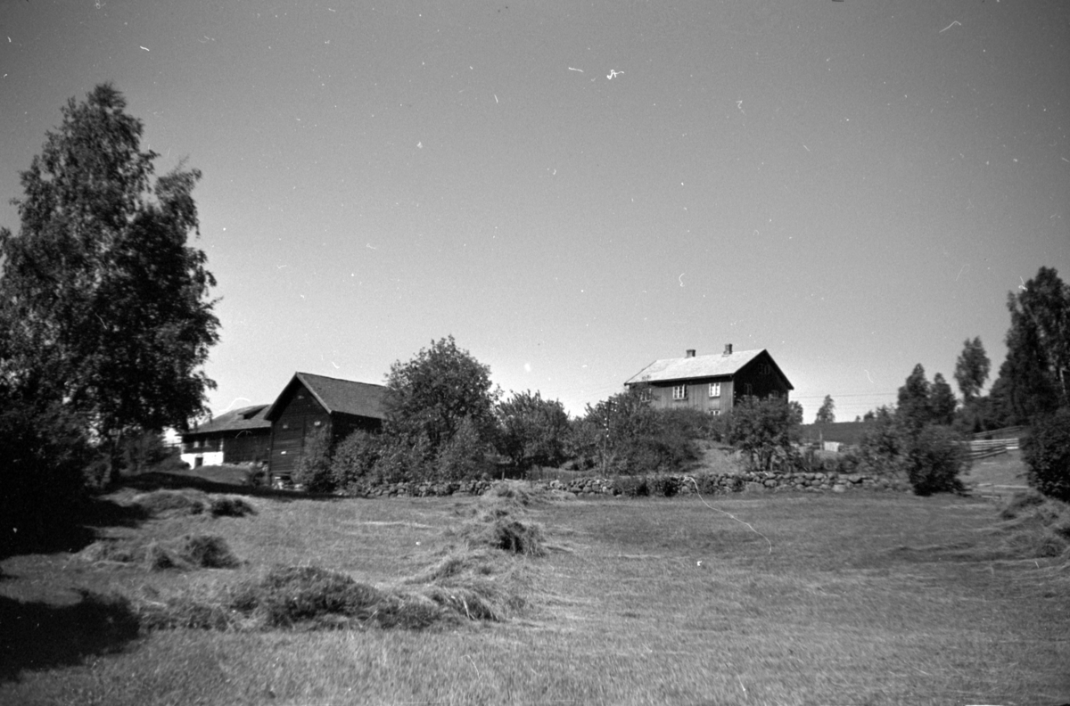Håkon Prestkværn, Eksteirør, gard.