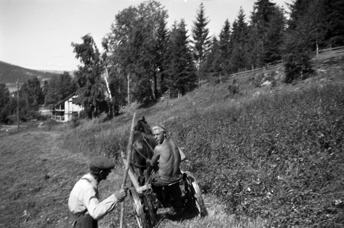 Håkon Prestkværn, Eldre mann med et staur, og en mann på en slåmaskin trukket av en hest.