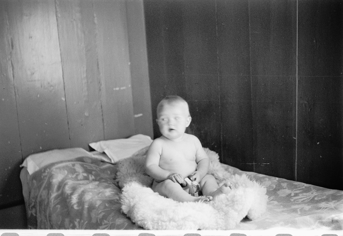 Håkon Prestkværn, En baby på et skinnfell.