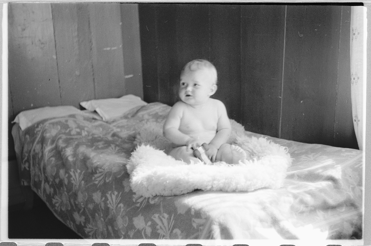 Håkon Prestkværn, En baby på et skinnfell.