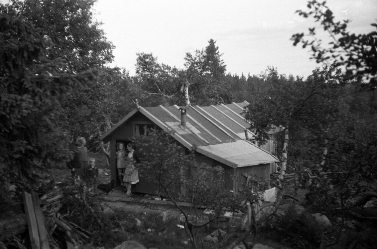 Håkon Prestkværn, Eksteriør, skog. En gruppe mennesker og en hund ved inngangsdøra til ei hytte.