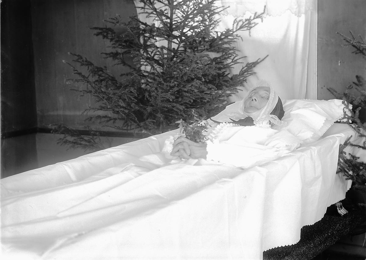Kristoffer Horne, LIKSKUE, DØD KVINNE, LIKSTRÅ
