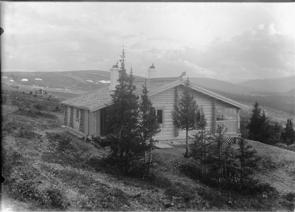 Kristoffer Horne, TØMMERHYTTE i fjellet.