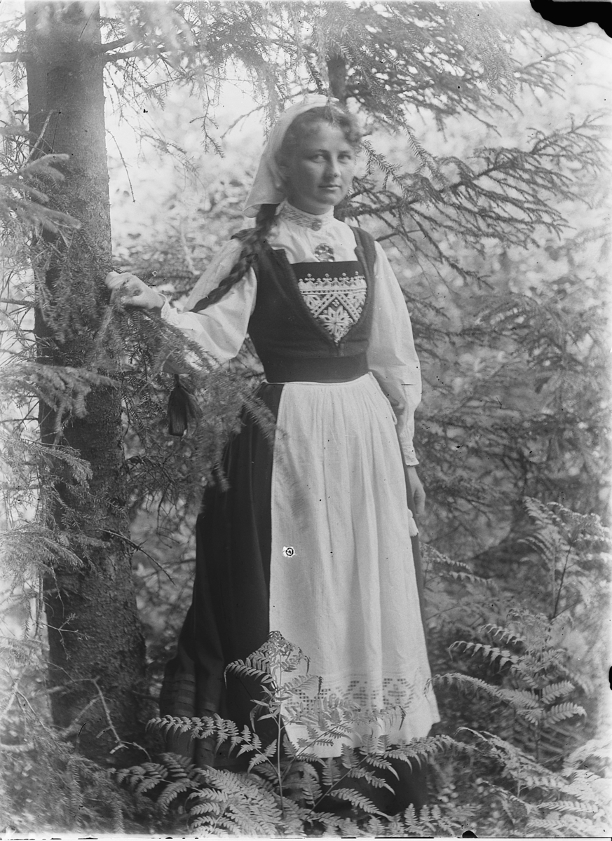 Kristoffer Horne, Portrett, kvinne i hardangerbunad, under et grantre. Bregner.