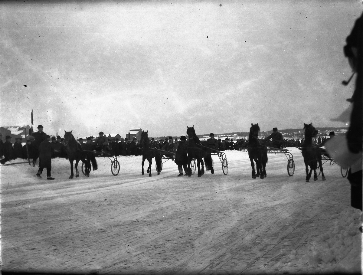 Ragnvald Andersen, Veslemjøsa. Travløp på isen på Mjøsa.