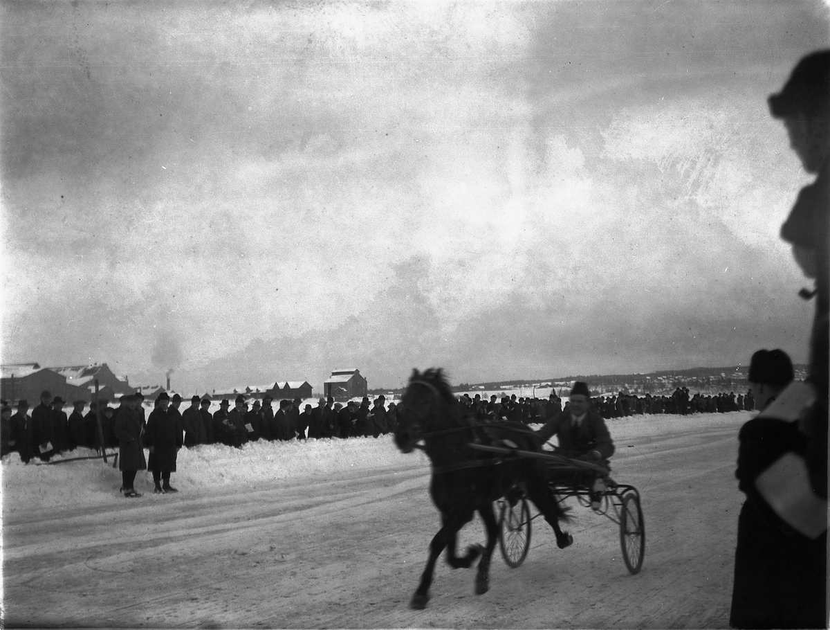 Ragnvald Andersen, Veslemjøsa. Travløp på isen på Mjøsa.