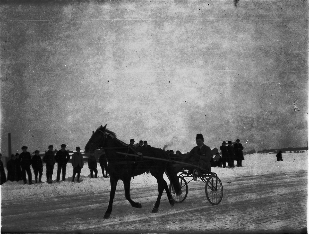 Ragnvald Andersen, Veslemjøsa. Travløp på isen på Mjøsa.