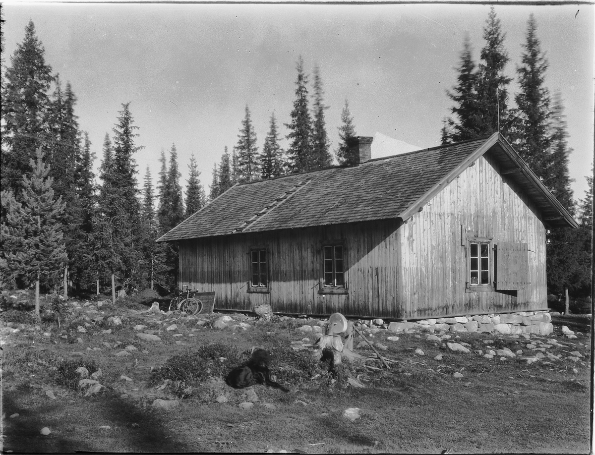 Ragnvald Andersen, Eksteriør, hytte i skogen. En hund ved en slipestein, sykler ved husveggen.