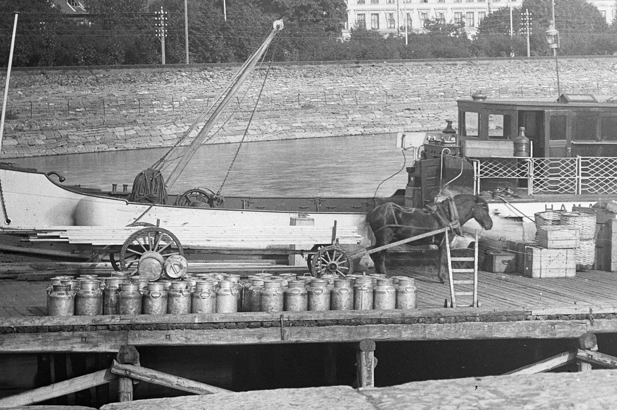 Hans Emil Erichsen, Hamar brygge med Mjøsbåter. Dampbåtene D/S Hamar og D/S Bundefjord. Lasting av gods. Hest med kjerre, melkespann og kasser.
