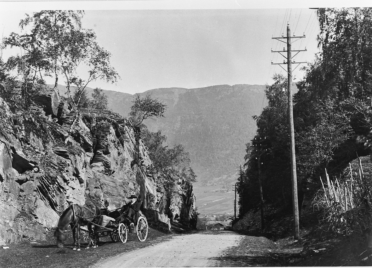 Hans Emil Erichsen, Kvamsporten i Gudbrandsdalen. Ukjent mann med hest og vogn.