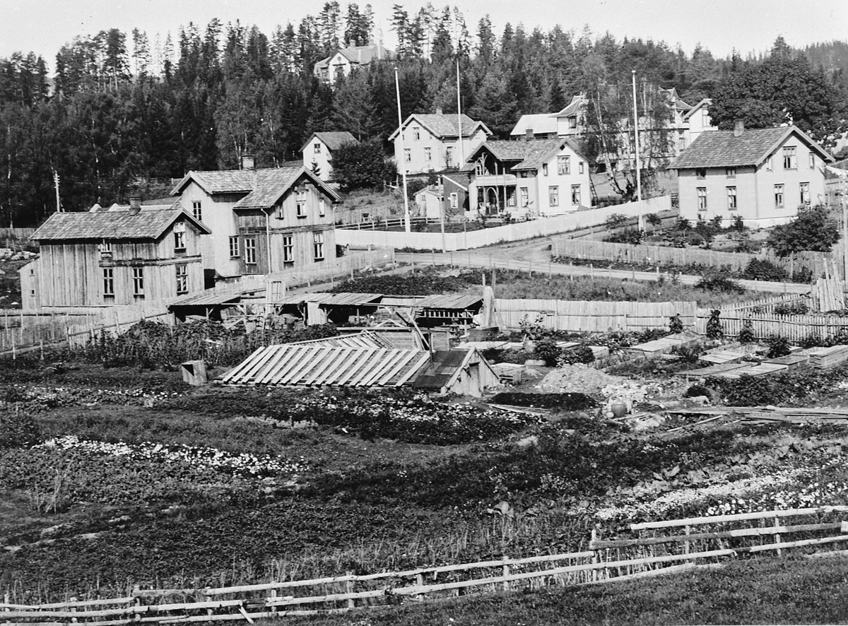 Hans Emil Erichsen, Sangen. Bebyggelse ved krysset Hakabekkvegen og Fredrik Monsensgate i Hamar. I forgrunnen er Mathias Røhnes gartneri, senere overtatt av Hugo Hoffsten. Utsnitt.