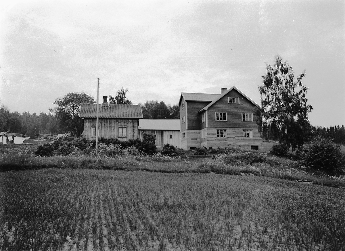 Simen Baardseth, Lunna gard, gnr 264 bnr 10 i Bårdsetvegen 51 i Ringsaker