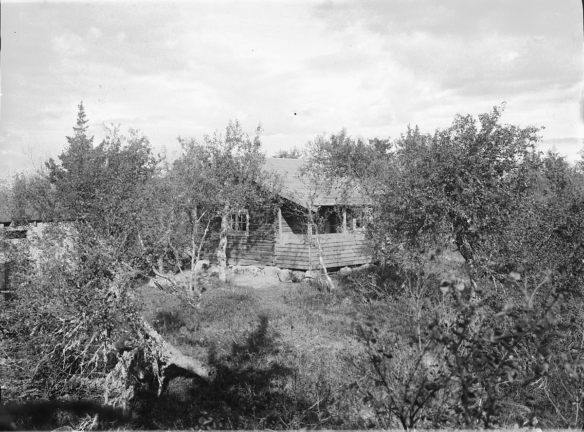 Simen Baardseth, Ei hytte i skogen på fjellet.