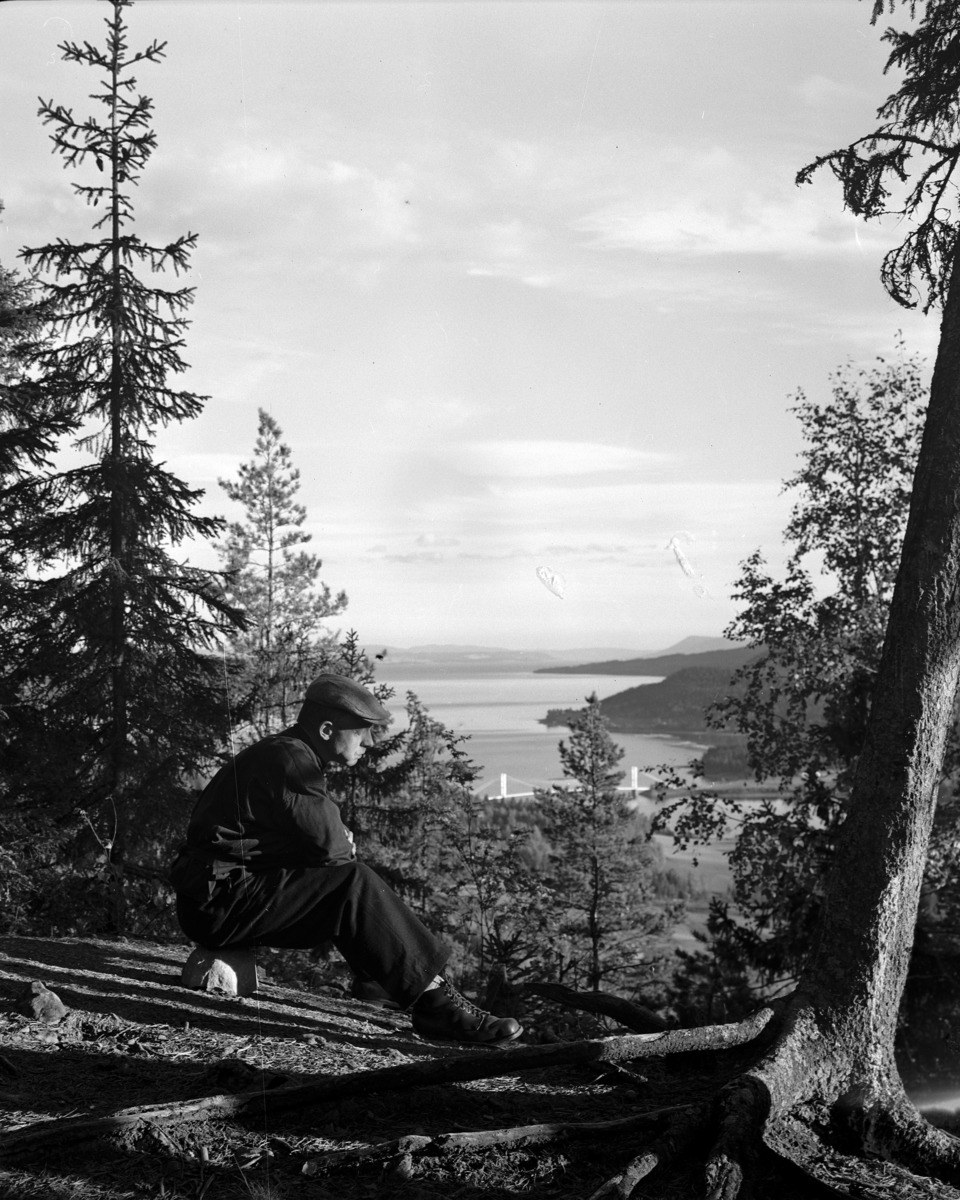 Kristian Heramb, Kristian Heramb i skogen. I bakgrunnen Furnesfjorden i Ringsaker.