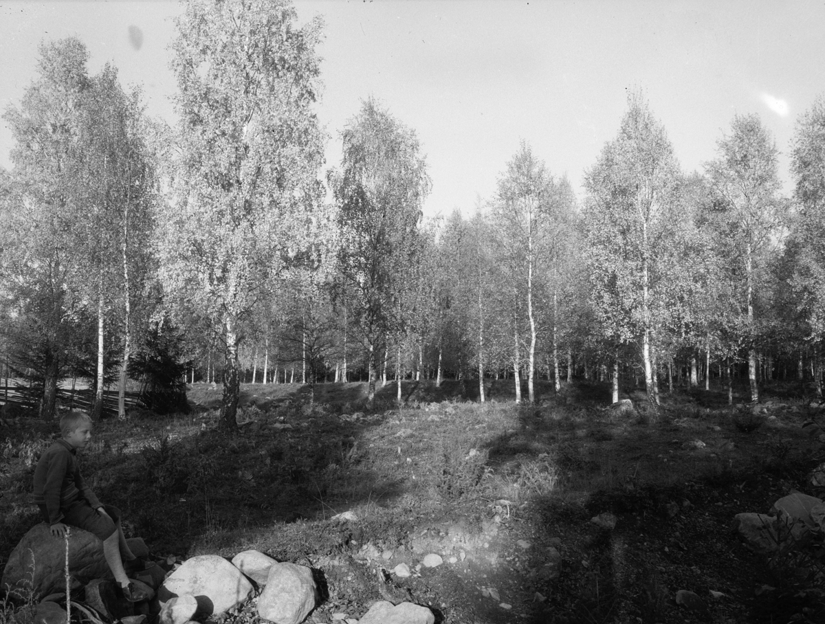Kristian Heramb, En gutt sitter på en stein i skogen.