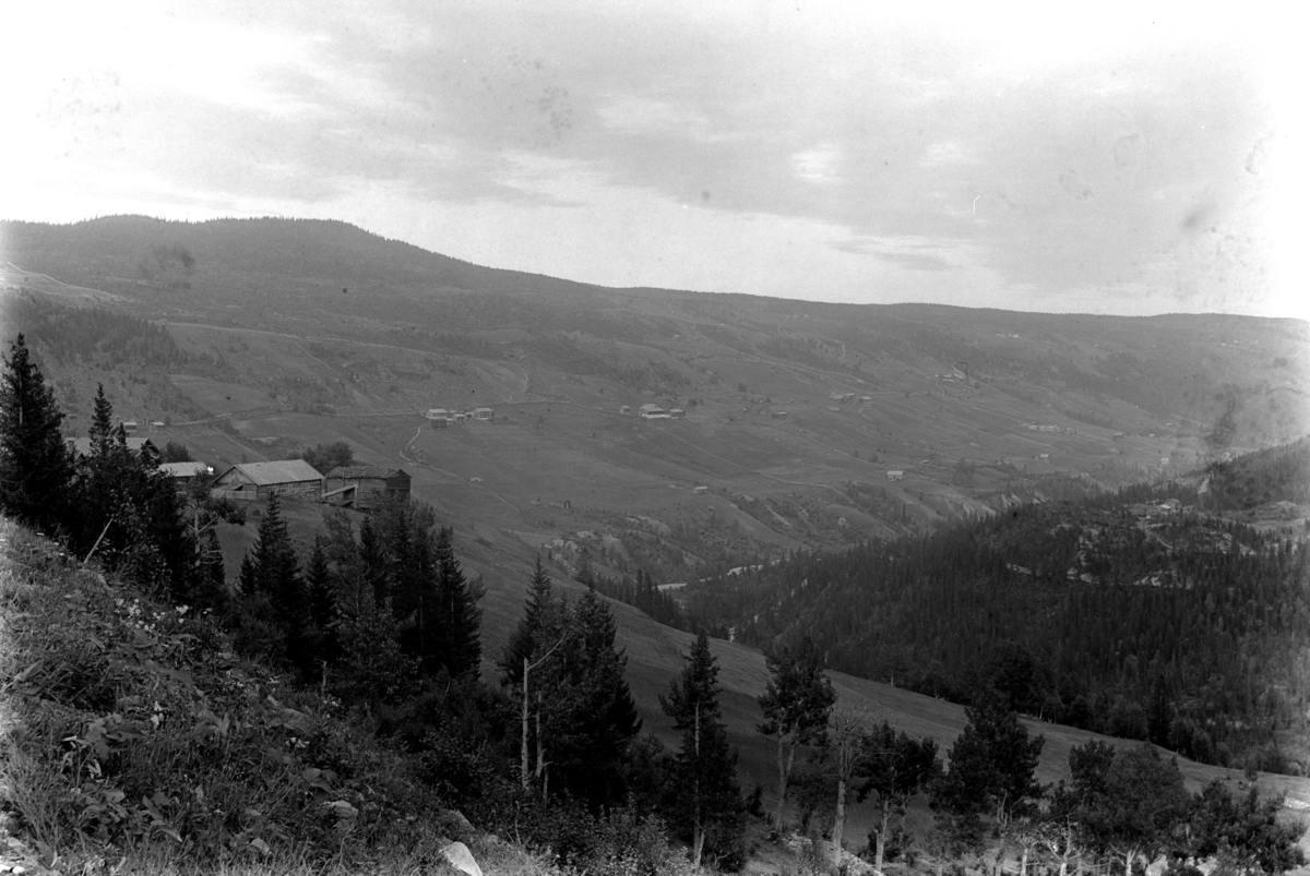 Ole Hansen Løken, Gudbrandsdalen.