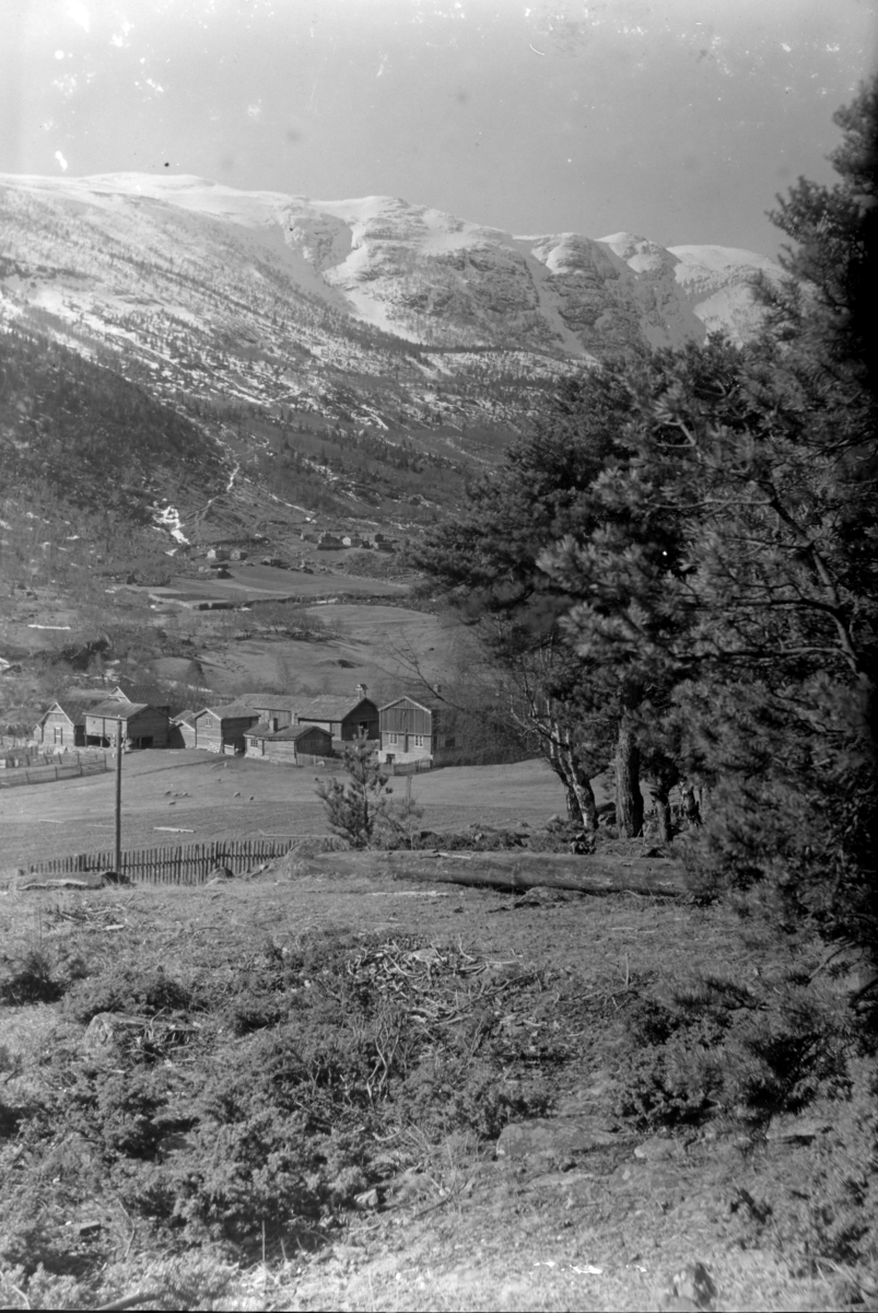 Ole Hansen Løken, UKJENT LANDSKAP, GARD, TRØNDELAG?