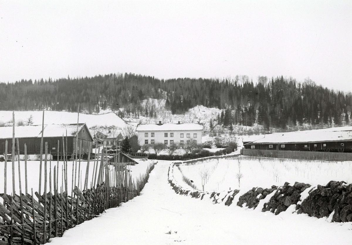 Ole Hansen Løken, LØKEN ØSTRE, VESTRE, VELDRE i Ringsaker.