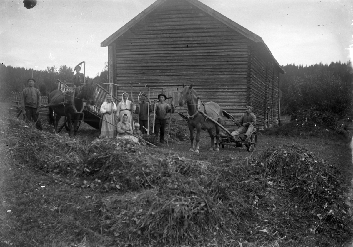 Johannes Larsen Alhaug, Slåttonn på Vikerødegården i Ringsaker. Gruppe mennesker med river, ljå og høygafler. Peder L. Alhaug på slåmaskinen.