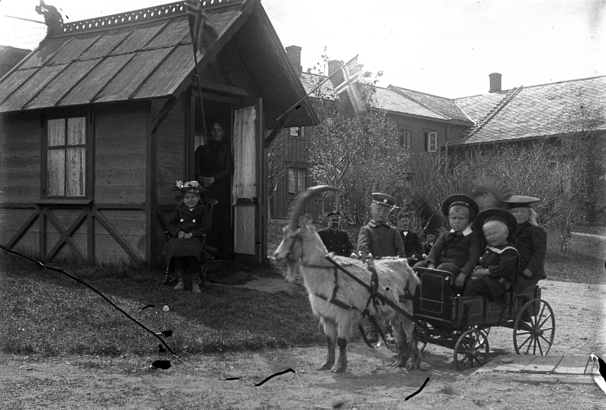 Johannes Larsen Alhaug, Tre barn i ei kjerre trukket av ei geit. Andre personer i bakgrunnen. Tynset.