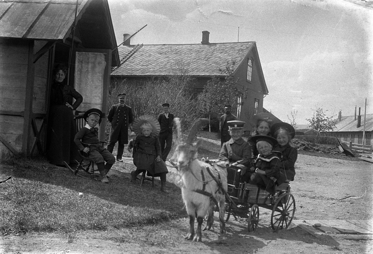 Johannes Larsen Alhaug, Fire barn i ei kjerre trukket av ei geit. Dette er fra Neby gård i Tynset. Her er det barna som leker seg med Geita på gården. Trolig er bildet fra helt i starten på 1900 tallet.. Andre personer i bakgrunnen. Tynset. Mellom sorenskrivergården til venstre og Tynset stasjon, lokomotivstallen til høyr…