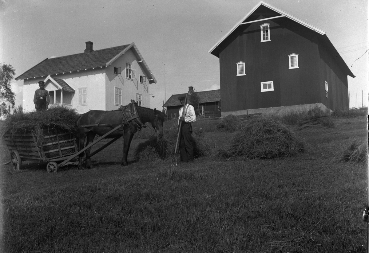 Mikkel Sveinhaug, Slåttonn, høyonn. To menn kjører inn høy med hest og kjerre på Rognum gard, nabo til Sveinhaug.