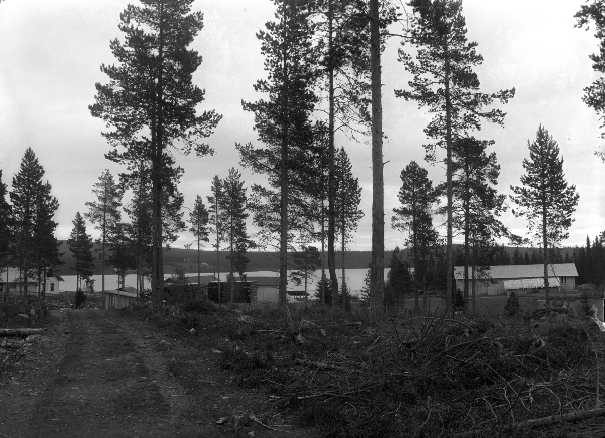 Mikkel Sveinhaug, Bygninger i en skog ved et vann.