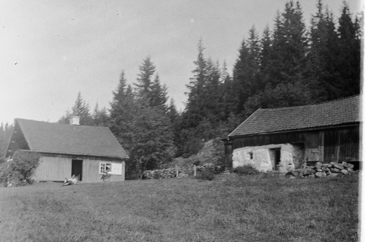 Hans Emil Erichsen, Husmannsplass. Ukjent sted i Furnes eller Jessnes.