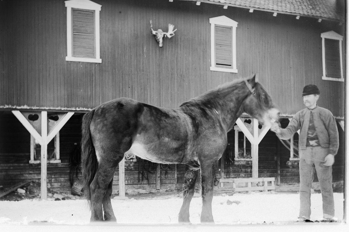 Hans Emil Erichsen, Traveren Odin tilhørende Nils Lier.