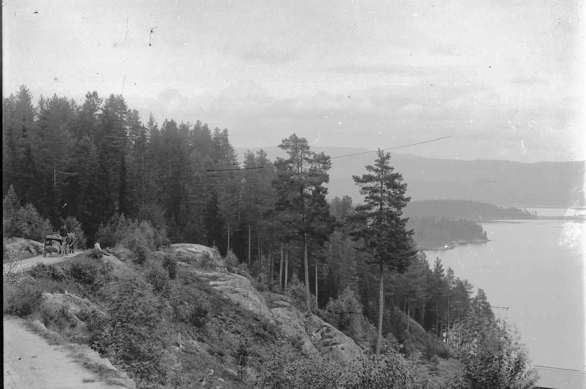 Hans Emil Erichsen, Landskap, ukjent sted. To menn. Hest og kjerre/trille.