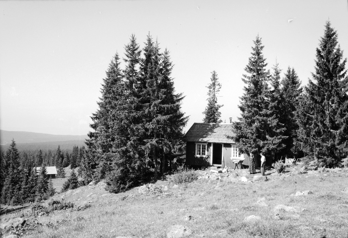 Håkon Prestkværn, Eksteriør, skog. Hytte. Ukjent sted.