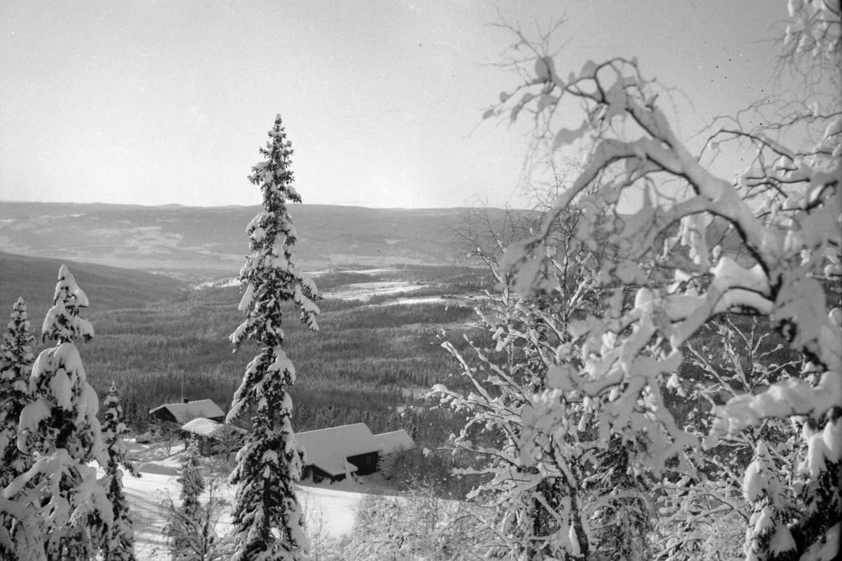 Håkon Prestkværn, Vinterlandskap, Ringsaker.