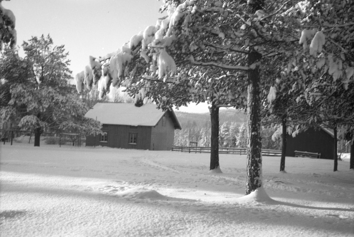 Håkon Prestkværn, Vinter, snø, ukjent sted.