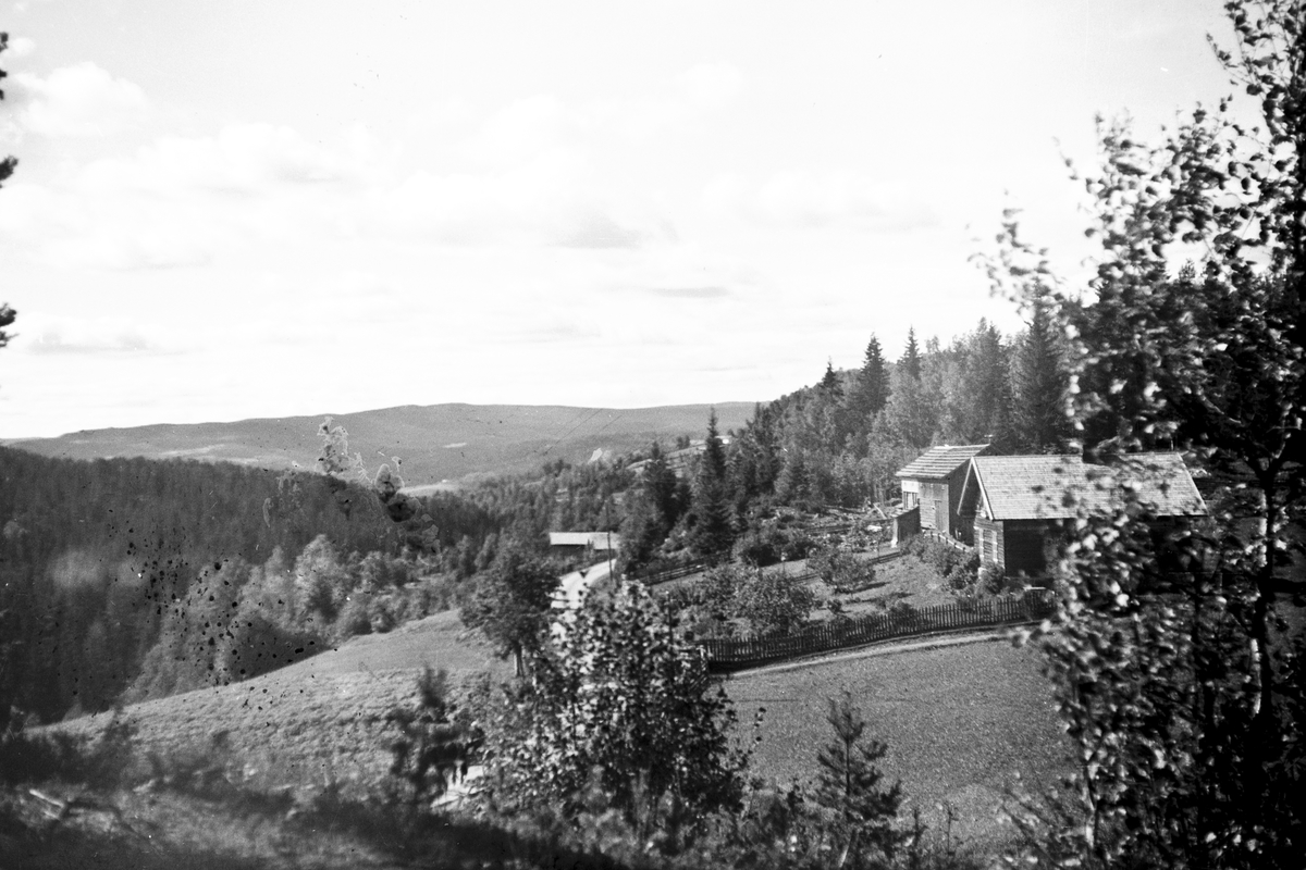 Håkon Prestkværn, Landskap, gard, ukjent, Næroset?
