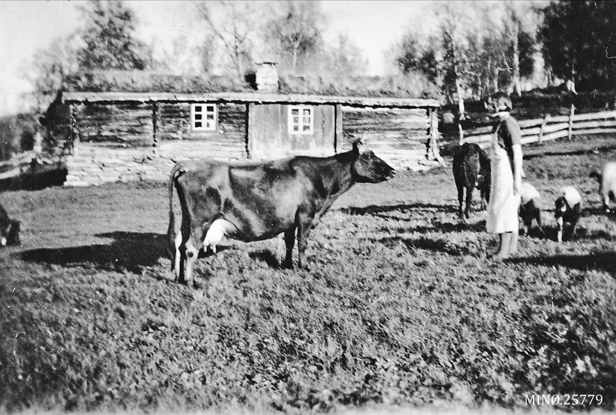 Elen Schomragh, Seteridyll, Kåsvollen, Åsen i Dalsbygda. Vårseter til Nysen, Søtgård, nedlagt 1905