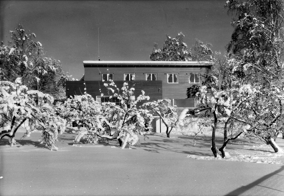 Normann Fotoatelier, Dr. Mæhlum, Furnesveien 18, Hamar. Eksteriør av bolighus. Vinter. Huset er tegnet av arkitekt Rolf Prag.