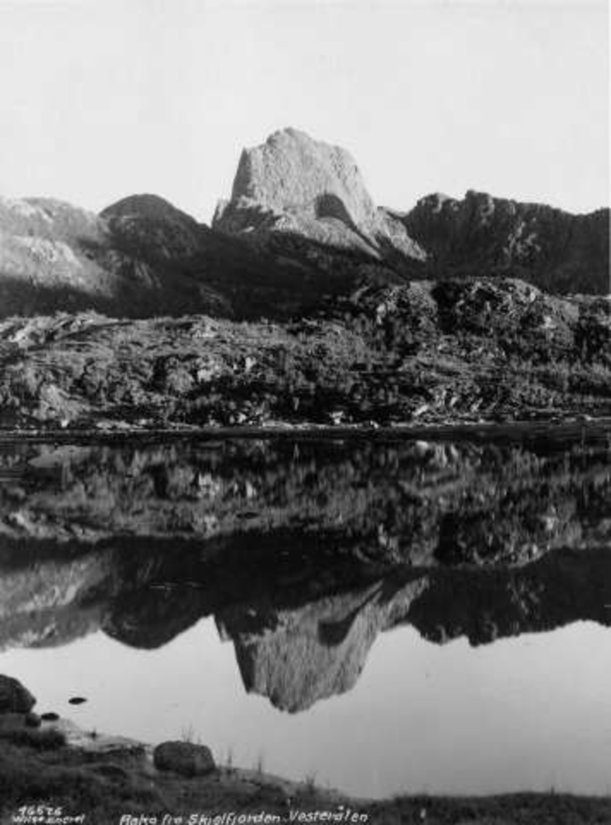 Anders Beer Wilse, -5533