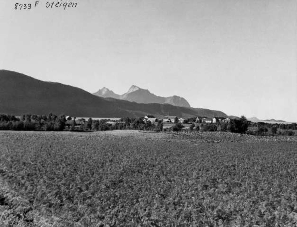 Anders Beer Wilse, -5558