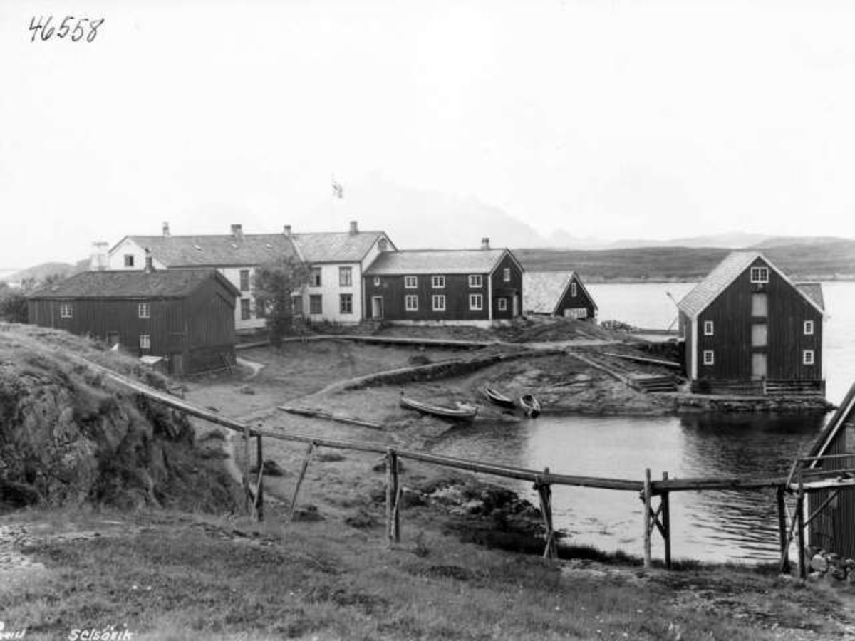 Anders Beer Wilse, -5864