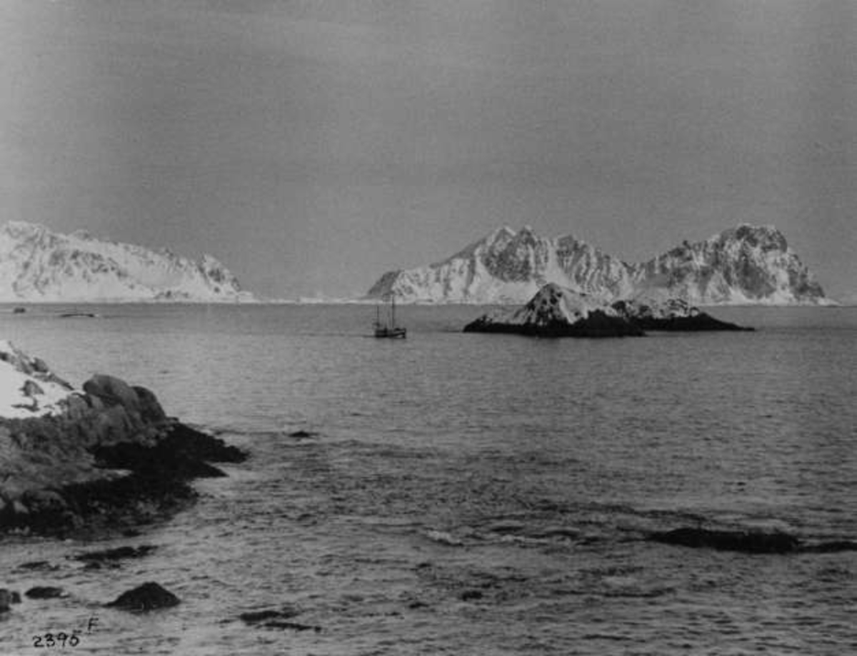 Anders Beer Wilse, -5868