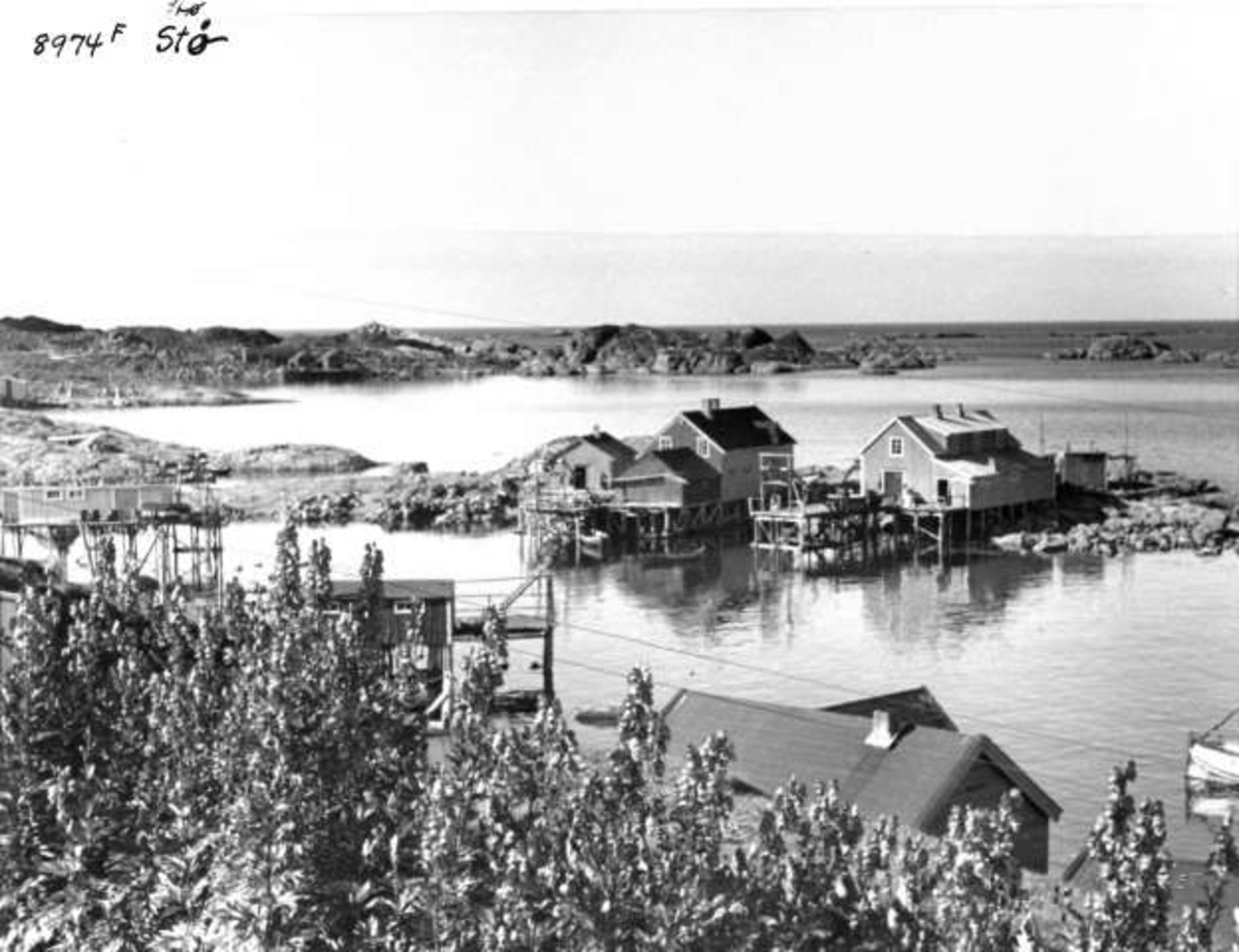 Anders Beer Wilse, -5936
