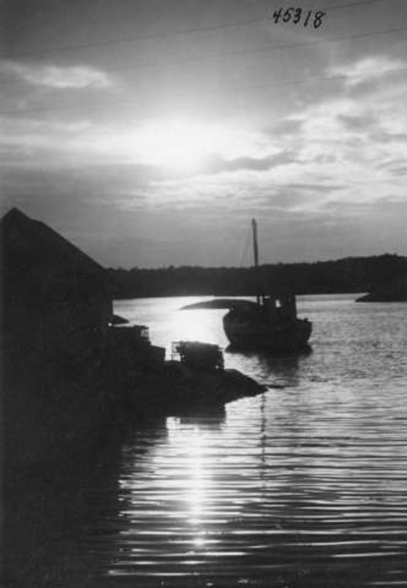 Anders Beer Wilse, -6143