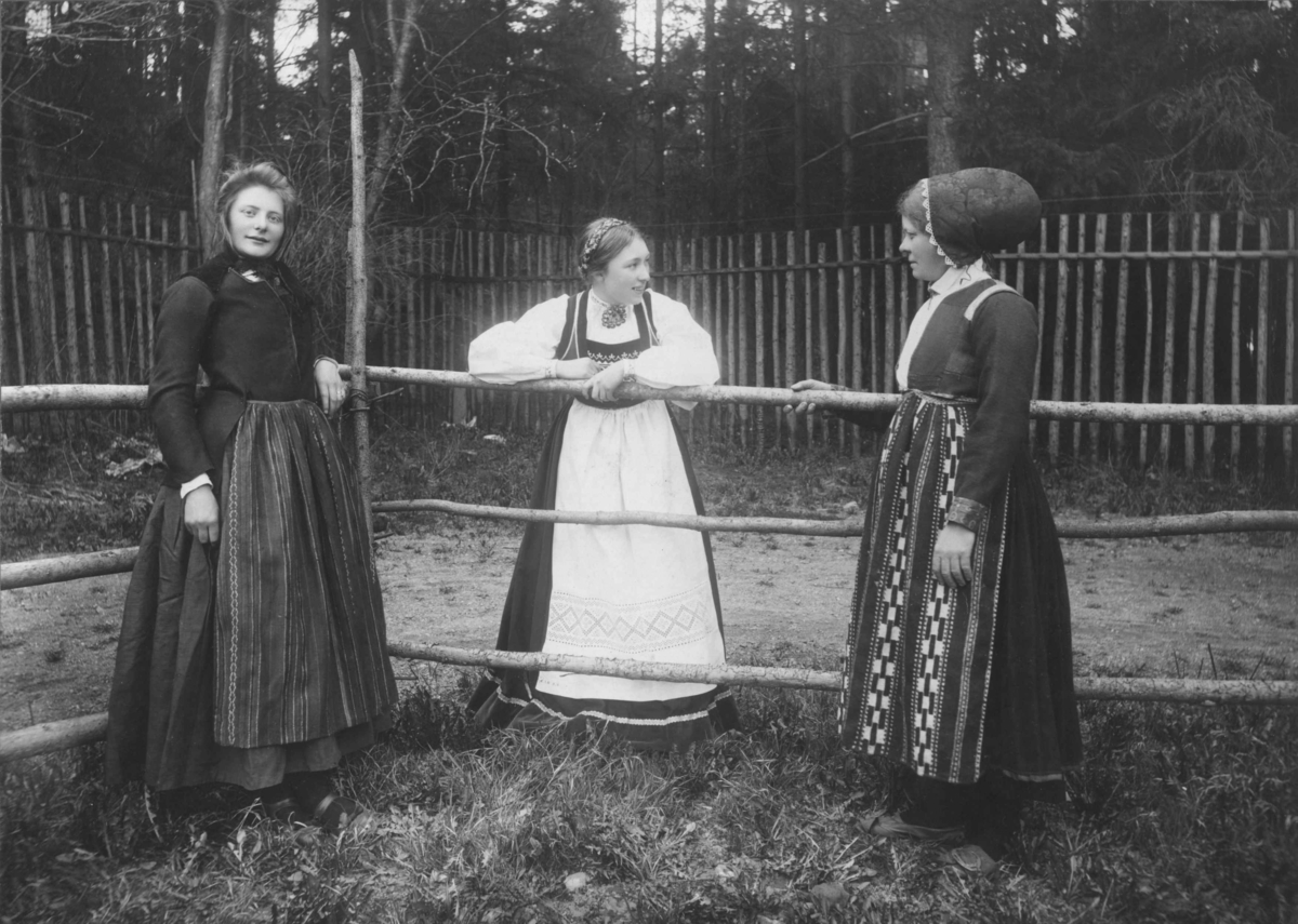 Narve Skarpmoen, Kvinner i drakter ved tilstelning på Norsk Folkemuseum . 1903