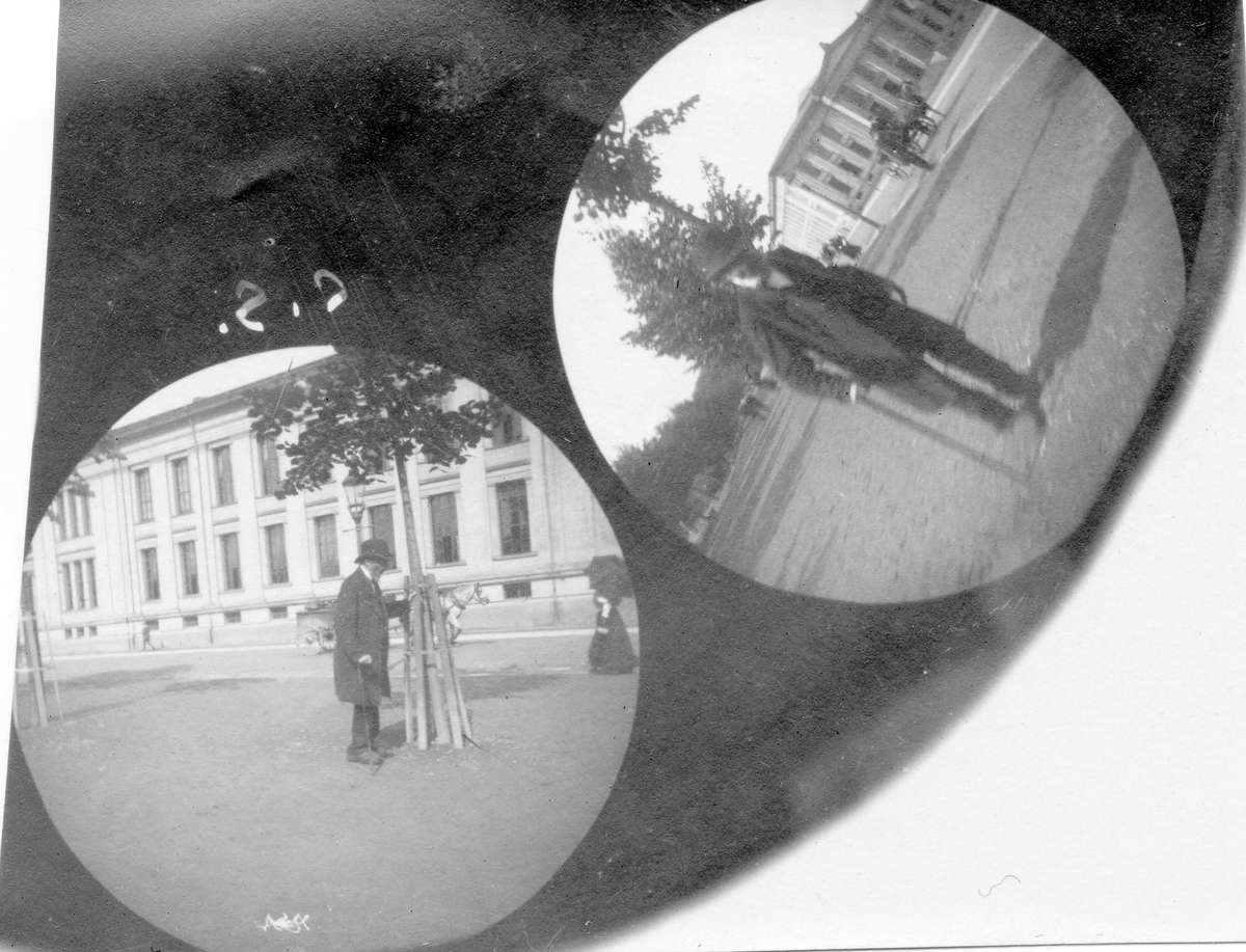 Fredrik Carl Mülertz Størmer, Ivar Aasen ved Universitetet, Karl Johans gate, Oslo.