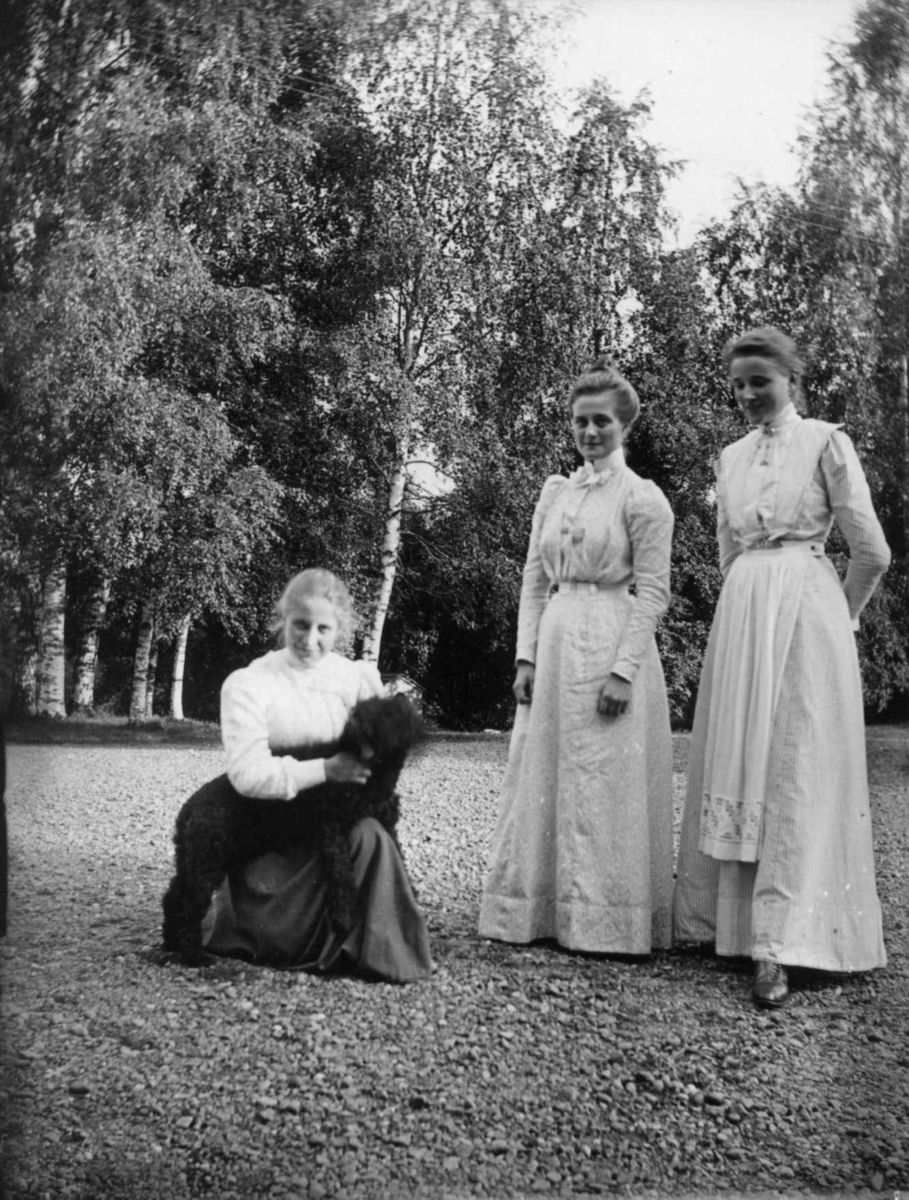 Fredrik Emil Faye, Gruppeportrett, Eva Christensen (senere fru Morgenstierne), Anna Christensen (senere fru Carl Hansen), Selma Faye (senere fru Zemmer), ca. 1897. Poserer i hagen med hund. Fra portrettserie av personer som bodde på eller besøkte Dal gård, Ullensaker, fotografert av gårdens eier, kammerherre Fredrik …