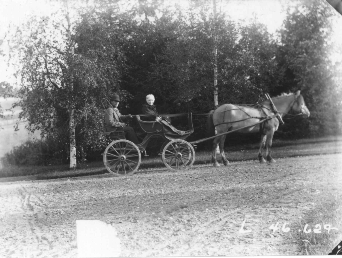 Fredrik Emil Faye, Hestekjøretøy, phaeton (trille) med to ukjente personer. Ant. Ullensaker. Fra serie fotografert av kammerherre Fredrik Emil Faye (1844-1903), Dal gård, Ullensaker.