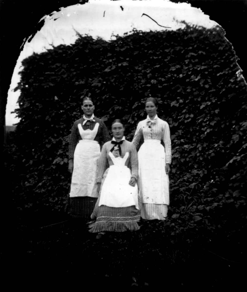 Fredrik Emil Faye, Tjenestepiker, Dal gård, Ullensaker, ca. 1879. Tre kvinner poserer i arbeidsdrakt. Fra portrettserie av personer som bodde på eller besøkte Dal gård, Ullensaker, fotografert av gårdens eier, kammerherre Fredrik Emil Faye (1844-1903) i årene 1875-1900.