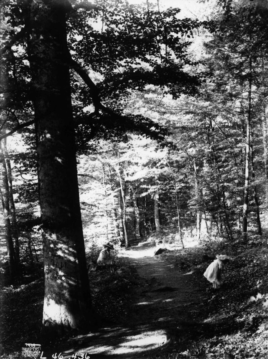 Hermann Christian Neupert, Oslo 1908-10. Skoglandskap. Kvinne og pike med hatter ved sti i skogen.